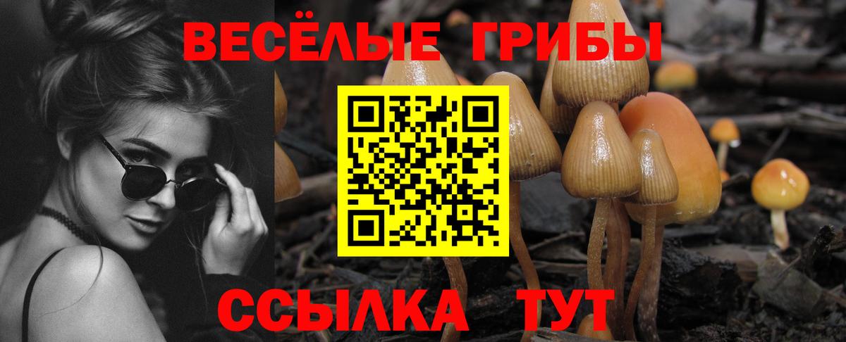 Саров  Галлюциногенные грибы прущие грибы  Вход с VPN 