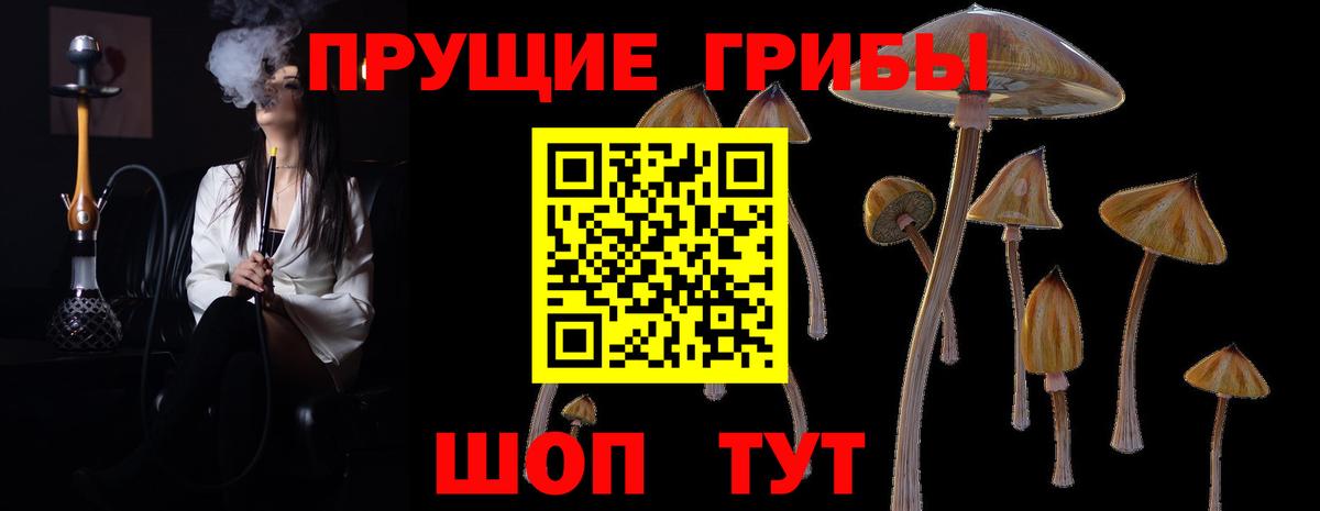 Галлюциногенные грибы GOLDEN TEACHER Саров